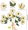 14 Summer Heads Artificial Gerbera Daisies For Tabletop Decor, 2 Bouquets Silk Daisy Flowers Artificial with Leaves & Seedling Shoots, Artificial Wild Flowers for Wedding, Party, Home Indoor Outdoor Decor